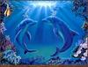 TXscan 12 Belinda Leigh-Dance of the Dolphins