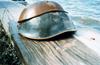 American Horseshoe Crab (Limulus polyphemus)