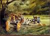 TXscan 19 Spencer Hodge-Tigers Eye.jpg