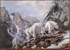 TXscan 21 Tom Beecham-Climbing High in the Winter.jpg