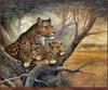 TXscan 22 Ruane Manning-Shadow of Love.jpg