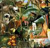 [Animal Awareness 1999 Calendar] November (Tropical Forest)