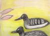 Loons