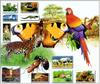 [Fengscan] Animal - Index