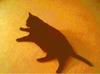 CAT WATCHING OTHER CAT PLAYING WITH TOYS