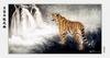 [maggie Scan] Wang Quan Li(Tiger)