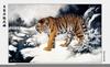 [maggie Scan] Wang Quan Li(Tiger)