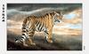 [maggie Scan] Wang Quan Li(Tiger)