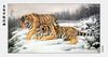 [maggie Scan] Wang Quan Li(Tiger)