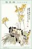 [MayaBoy Scan] Sun Qi Feng (Flower & bird Painting)