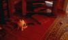 CAT COLOR COORDINATING WITH INTERIOR DECOR