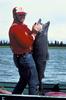 Chinook Salmon (Oncorhynchus tshawytscha)