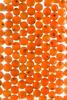 Salmon eggs (Oncorhynchus sp.)