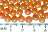 Salmon eggs (Oncorhynchus sp.)