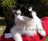 Lovely boy 1