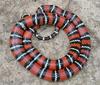 Central Guatemalan milksnake (L.t.abnorma)