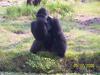 PENSACOLA ZOO AFTER KATRINA