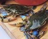 Crab