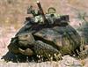 Turtle tank