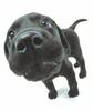 Black lab puppy