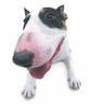 Bull terrier puppy