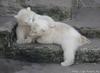 Bear hug