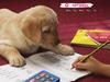 2006 Puppy Calendar - 09
