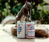 drunk squirrel