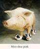 Moo-Shoe Pork