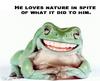 smiley frog
