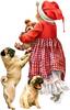 xmas PUG