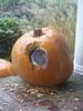 squirrel in pumpkin