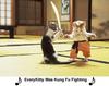 Every Kitty was Kung Fu Fighting