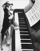 Piano puppy