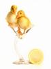 Two Drunk Chicks