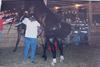 Horses Breeding