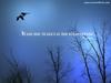 words 4 ever