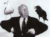 Gull and Crow
