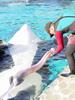 why they call them killer whales