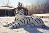 Snow tiger