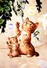 Kitties