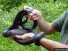 Black Rat Snake (Elaphe obsoleta obsoleta)