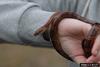 Corn snake (Elaphe guttata guttata)