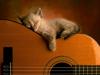 [Daily Photos] Sleeping Soundly
