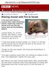 Mouse Revenge