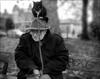 Cats in control...beware