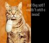 funny