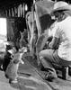 Farm Cats
