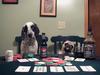 dogs playing poker