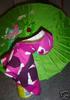 dog coat